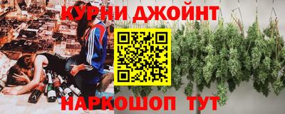 МДПВ Бердск