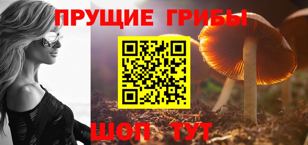 Галлюциногенные грибы ЛСД Сердобск